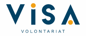 logo-visa-bleu-orange